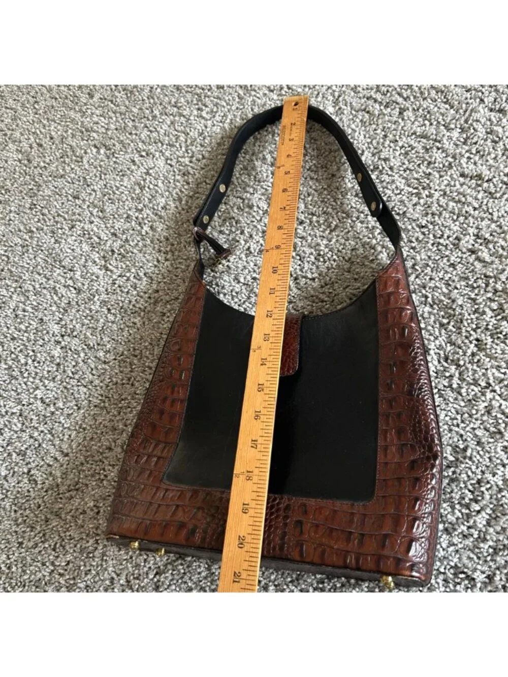 Brahmin this shoulder